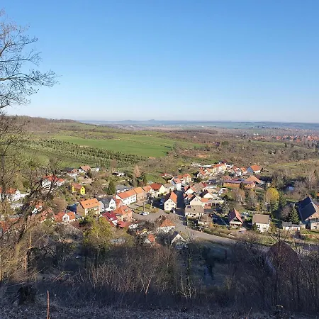 Waldhaus Harz, Mit Pool Und Sauna Holiday home Stecklenberg