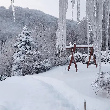 Waldhaus Harz, Pur Mit Pool, Sauna Und Traumhaften Garten Hébergement de vacances *