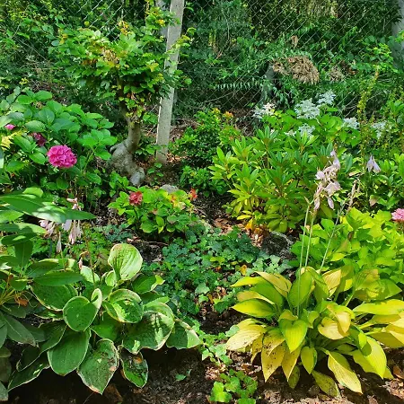 Hébergement de vacances Waldhaus Harz, Pur Mit Pool, Sauna Und Traumhaften Garten Stecklenberg