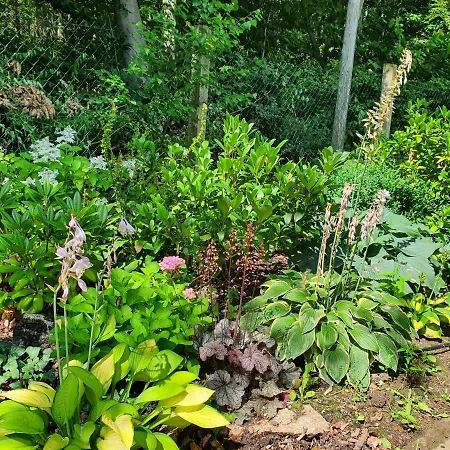 بيت للعطل Waldhaus Harz, Pur Mit Pool, Sauna Und Traumhaften Garten Stecklenberg