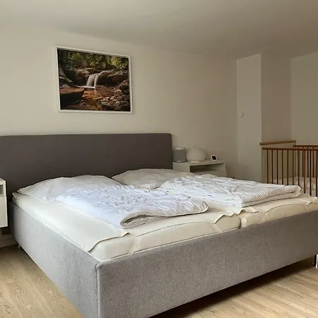 Waldhaus Harz, Mit Pool Und Sauna Holiday home *