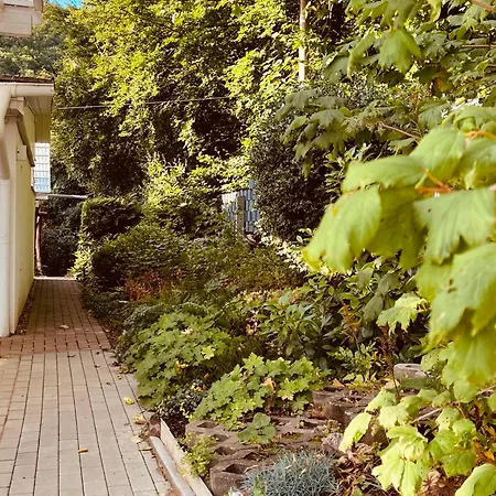 Waldhaus Harz, Pur Mit Pool, Sauna Und Traumhaften Garten Hébergement de vacances *