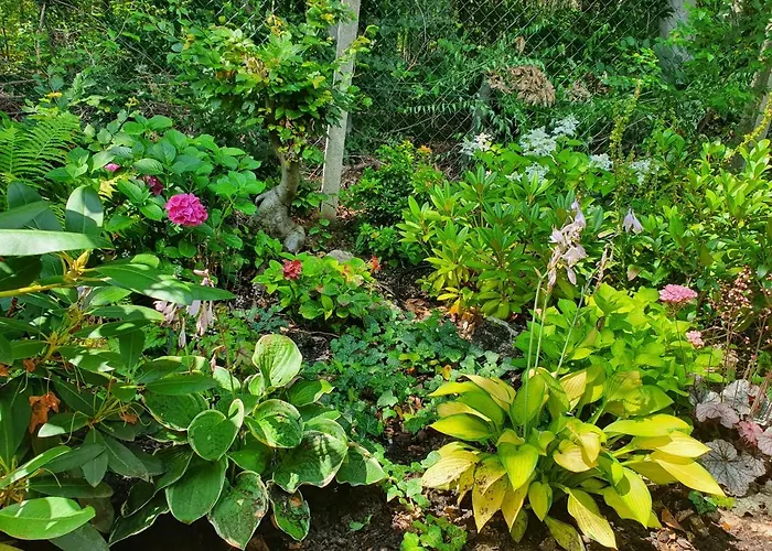 別荘 Waldhaus Harz, Pur Mit Pool, Sauna Und Traumhaften Garten Stecklenberg