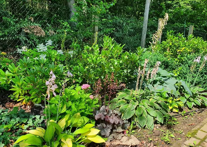 別荘 Waldhaus Harz, Pur Mit Pool, Sauna Und Traumhaften Garten Stecklenberg