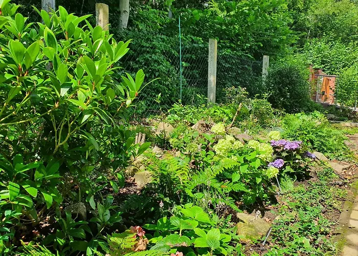 別荘 Waldhaus Harz, Pur Mit Pool, Sauna Und Traumhaften Garten Stecklenberg