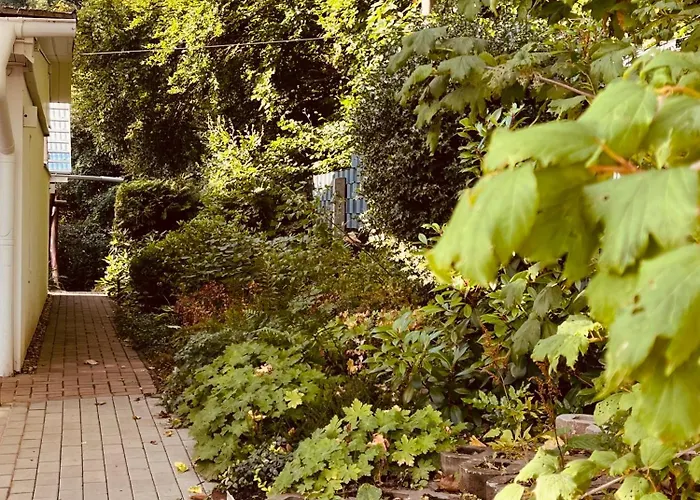 Waldhaus Harz, Pur Mit Pool, Sauna Und Traumhaften Garten 別荘 *